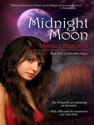 cover image of Midnight Moon